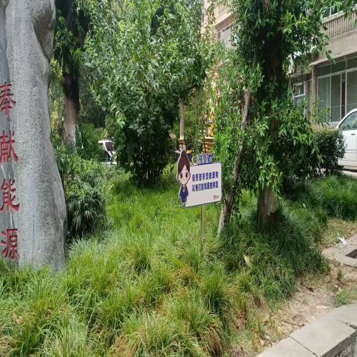 1753969901501652.jpg 42703cb72995d0eddedf121e658f55f.jpg